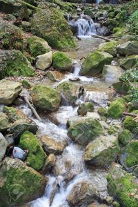 7131869-small-stream-running-over-moss-covered-stones-stock-photo